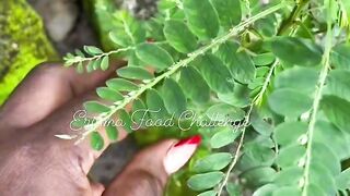 Habal medicine stone breaker