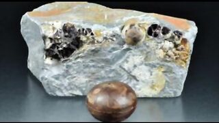 THE MYSTERY OF THE KLERKSDORP SPHERES