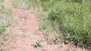 Caminhando na trilha 2
