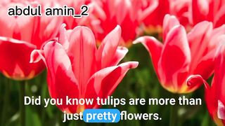 Did you know? Tulips are more than just pretty flowers.