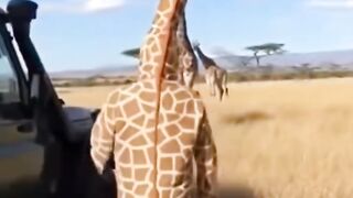 😂 Human in a Hilarious Animal Costume Pranks Everyone!