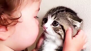 Cats and little baby