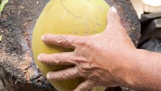coconut cutting ASMR