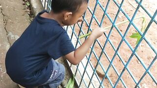 Dhaka animal zoo 2