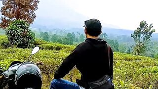 Natural panorama of tea plantation mountains