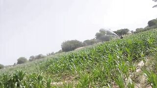 Rain gun system
