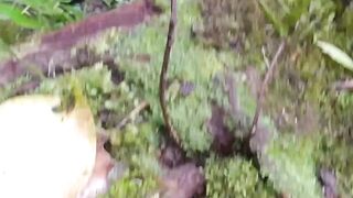 Trek to the Crater of Mount Patah