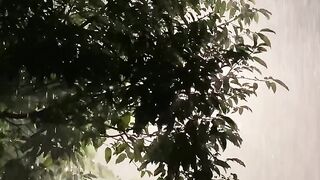 Rain at night 4