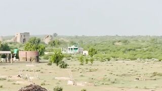 Inam Mahar Official