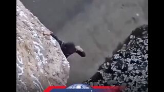 Fallece el Hombre Araña