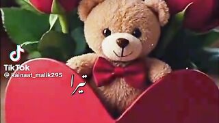 Tik Tok Video 319