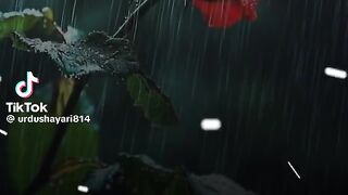 Tik Tok Video 320