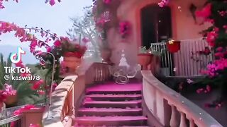 Tik Tok Video 321