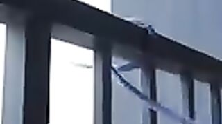 Tik Tok Video 325