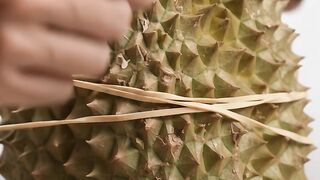 Fruit vs. Rubber Bands #1