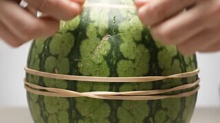 Fruit vs. Rubber Bands #2