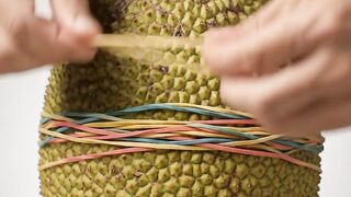 Fruit vs. Rubber Bands #3