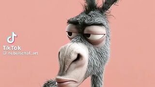 Donkey kiss funny 🤣🤣🤣