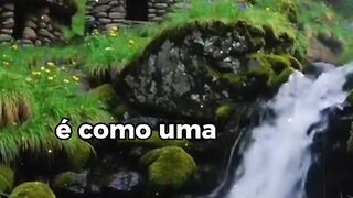 Oração da Manhã-Proteção e Motivação