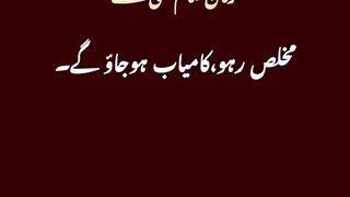 Imam Ali as qoute