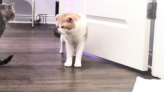 Nosnip