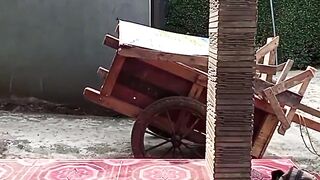 Pemasangan drenase