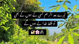 Poetry and nature vedio