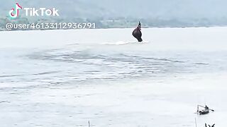 Ular besar 3