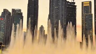 Habibi came to dubai