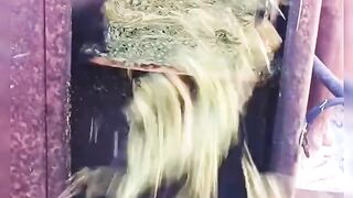 God skill