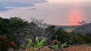 Senja 22