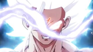 Goku Omni God Forma