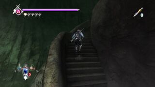 Ninja Gaiden enfrentando desafios que já passei