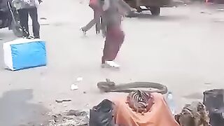 Magic failed, snake bites master