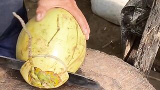 Coconut cutting skills ASMR