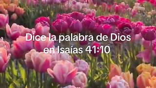Dios Te Está Hablando
