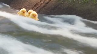 Mother is mother 4