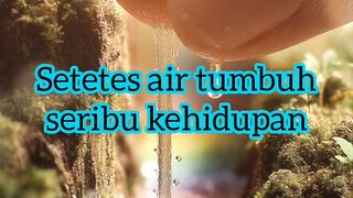 One drop of water grow a thousand lives
