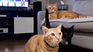 Oyen and her children are singing