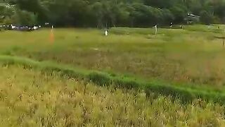 Sawah dan pengunungan