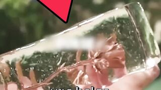 Ela foi acusada por comprar uma bolsa de 25.000 dolares ( Camila cabello )