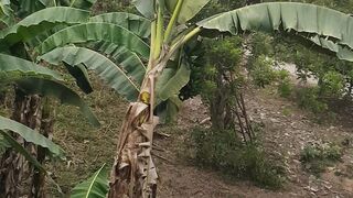 pemandangan alam di luar nalar
