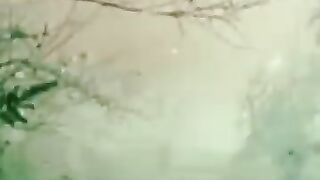 DASH IN THE WIND
