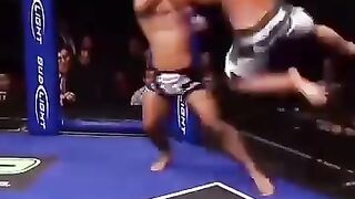 Brutal KO mma/ufc