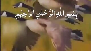 Tilawat e Quran Pak 13