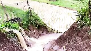 Kenangan di desa