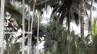 গানের সাথে সুন্দর দৃশ্য