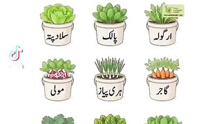 Nice vedio 62