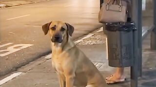 Amor e inteligência