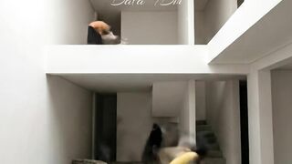 This Empty House Turned Into a Hidden Oasis